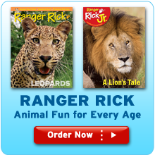 Ranger Rick is now available for all ages!